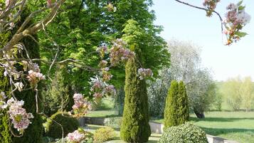 Ein gepflegter Garten mit ordentlich geschnittenen Hecken, einer Bank und blühenden Bäumen.