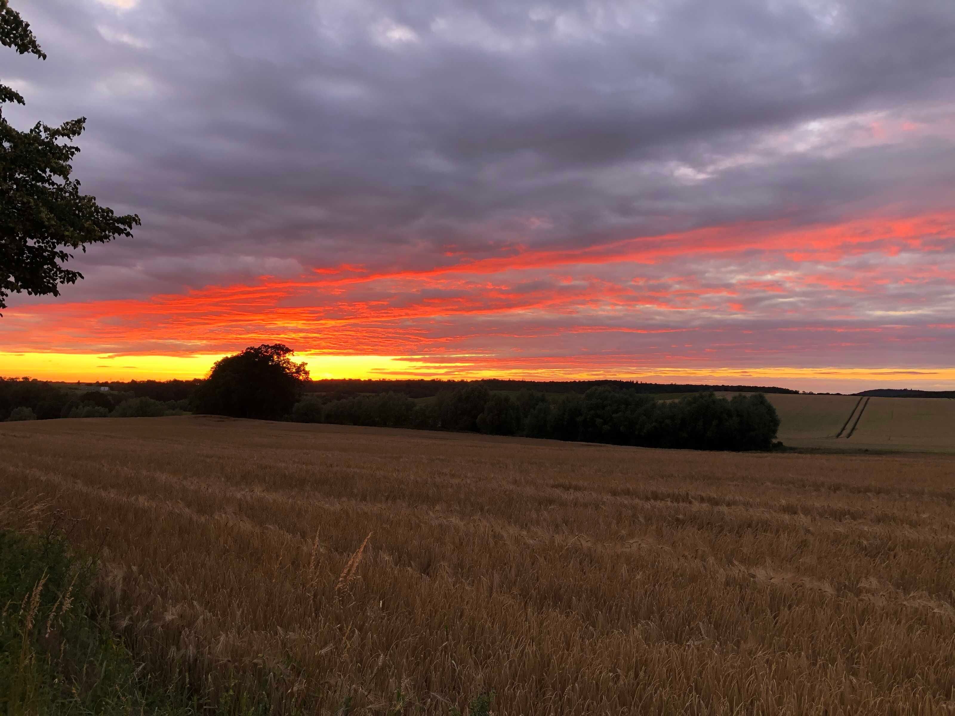 Un champ sous un ciel au coucher du soleil.