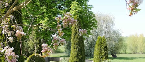A well-maintained garden with neatly trimmed hedges, a bench, and flowering trees.