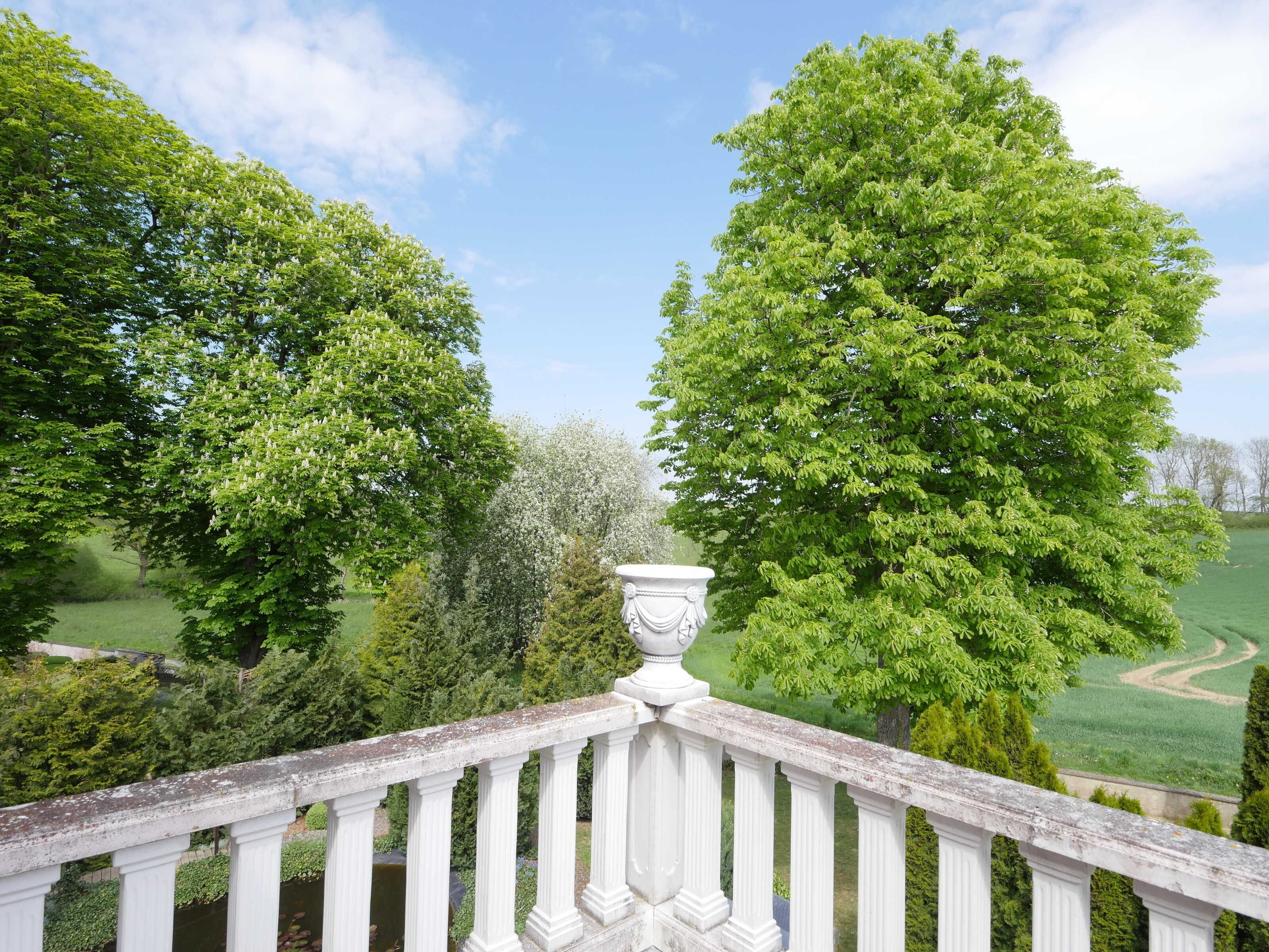 Ein Balkon mit weißer Brüstung, der auf einen üppigen Garten mit alten Bäumen und klarem Himmel blickt.