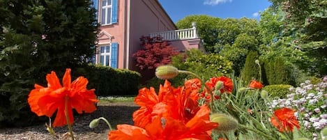 Un bâtiment rose aux volets bleus, entouré d’une végétation luxuriante et de fleurs orange éclatantes.