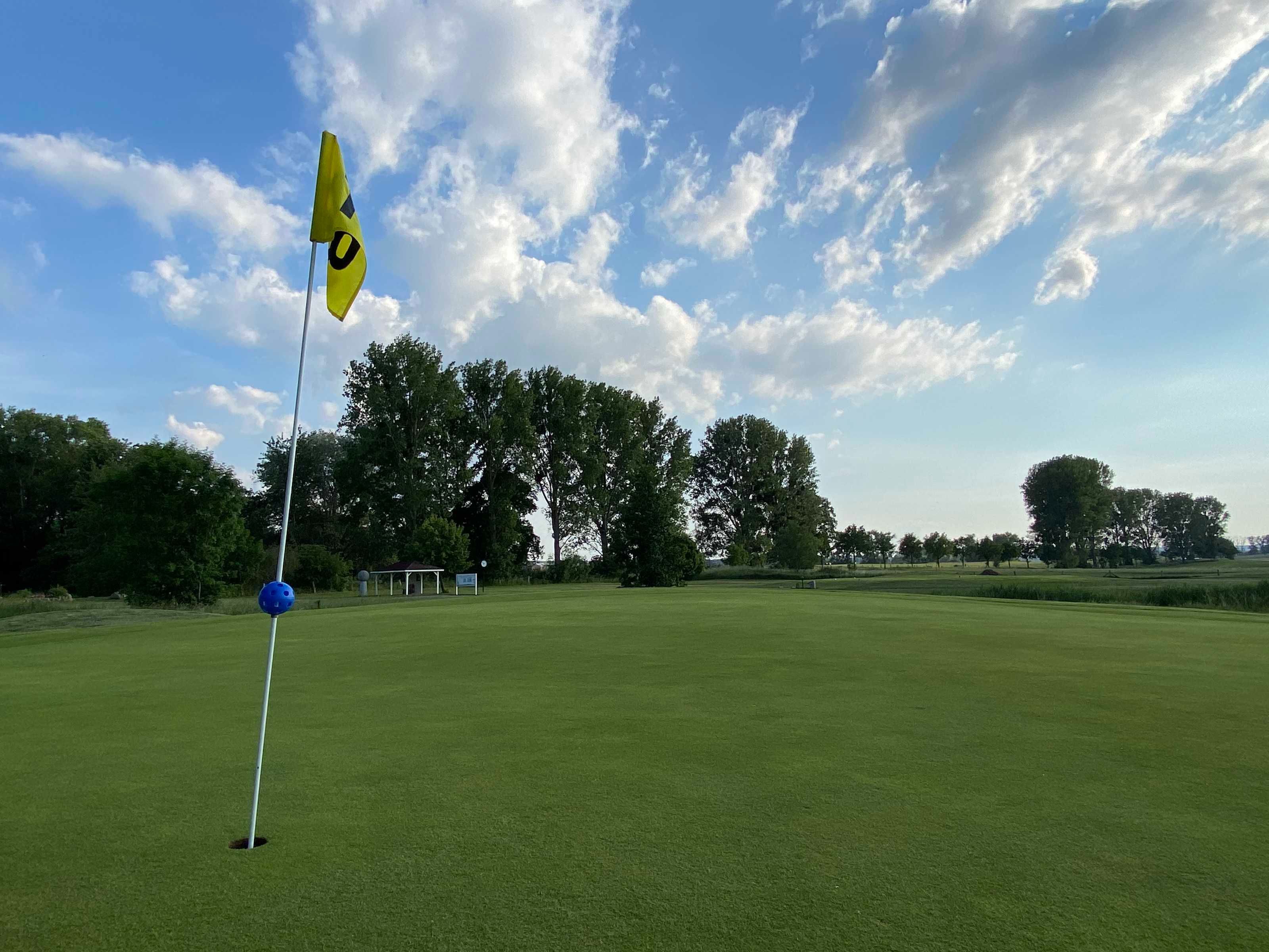 En golfbane med flag, træer og en klar himmel.