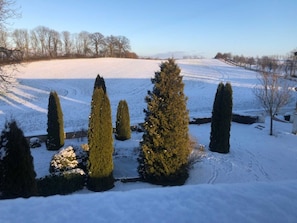 A snow-covered landscape with several conical trees and a clear sky. - Zimmer Ludwigslust - Schlosshotel Groß Köthel (Hohen-Demzin)