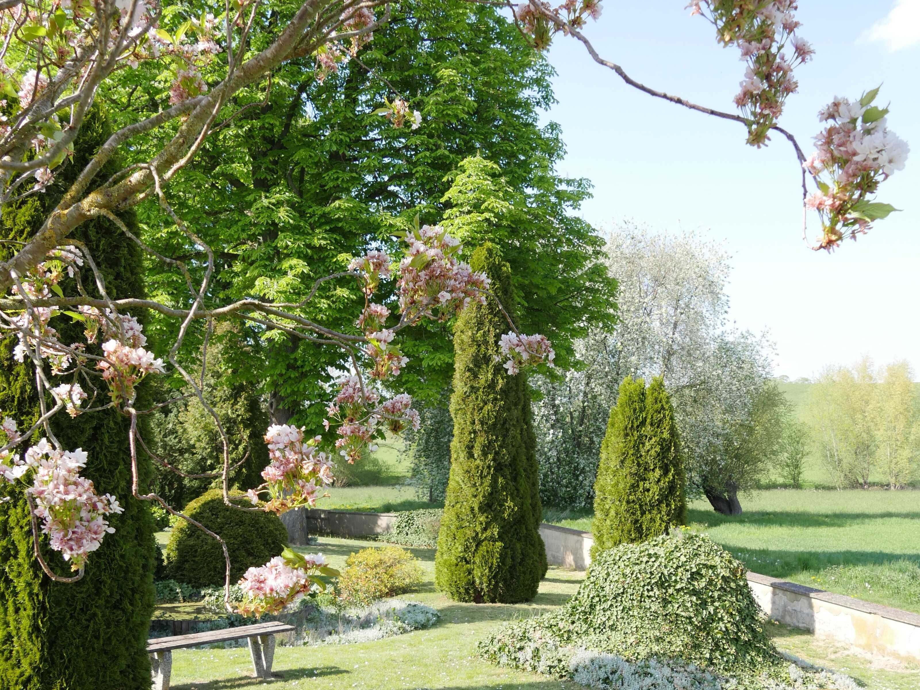 En velholdt have med velplejede hække, en bænk og blomstrende træer.