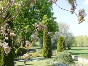 Un jardin bien entretenu, avec des haies soigneusement taillées, un banc et des arbres en fleurs.