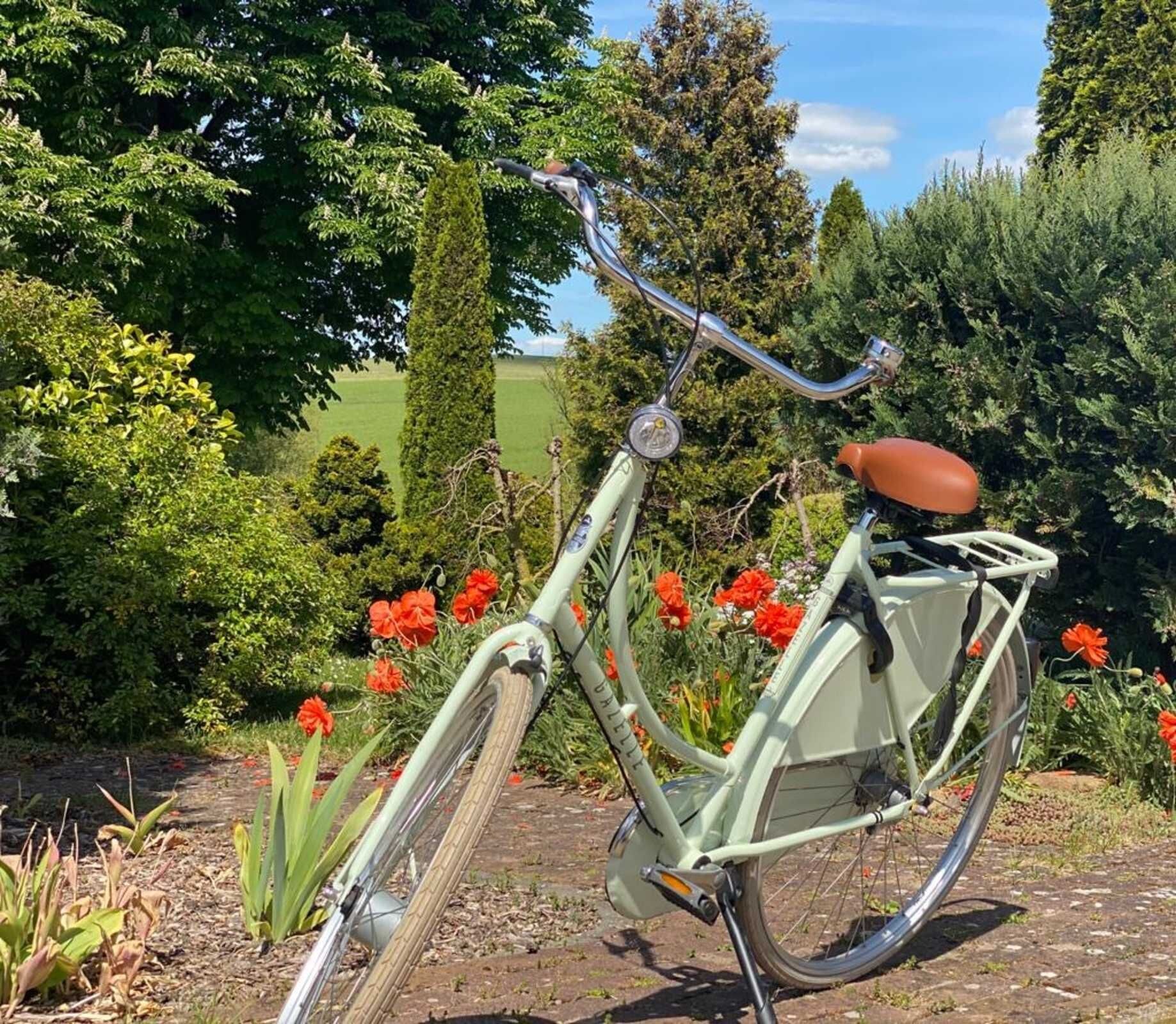 Ein altes Fahrrad mit Korb und Sitzgelegenheit, abgestellt in einem Garten voller Blumen und Bäume.