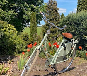 Un vélo ancien, doté d’un panier et d’une selle, est garé dans un jardin où poussent des fleurs et des arbres.
