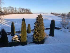 Uklassifisert bilde, 4 av 57, knapp