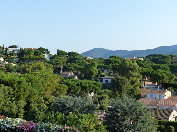 A hillside residential area with houses surrounded by dense greenery and trees.