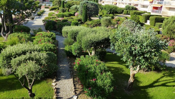 Ein Wohngebiet mit einem gepflegten Garten, einem Kiesweg und einem mehrstöckigen Gebäude mit Balkonen.
