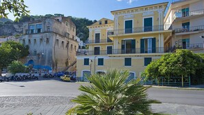 Una calle con edificios, una palmera y scooters estacionados.