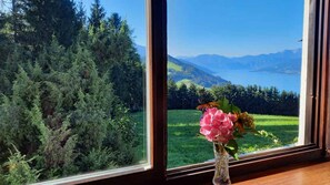 Una ventana con vistas a un bosque y montañas.