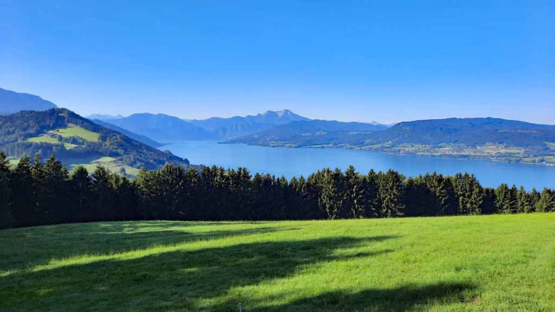 Een panoramisch uitzicht op een meer, omringd door bergen, met een grasveld op de voorgrond en een bebost gebied.