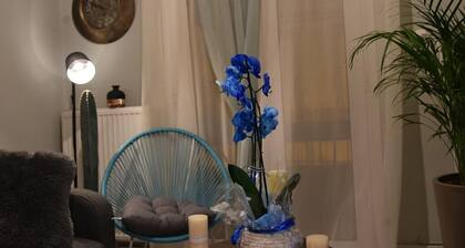 Blue Lotus Luxury Home in the heart of the city center of Kavala