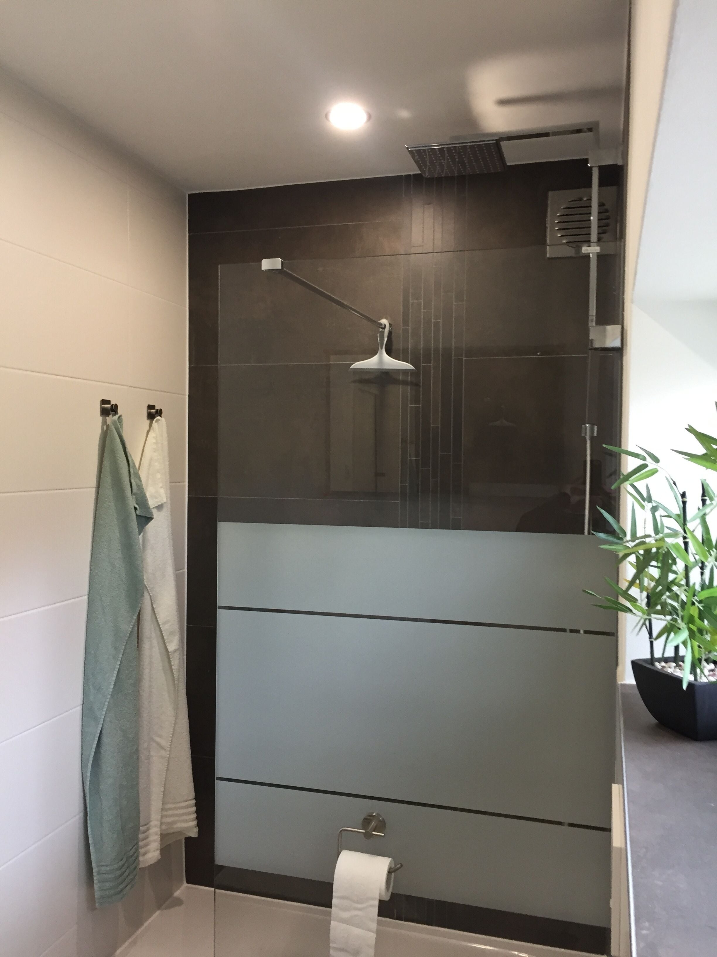 Shower, hair dryer