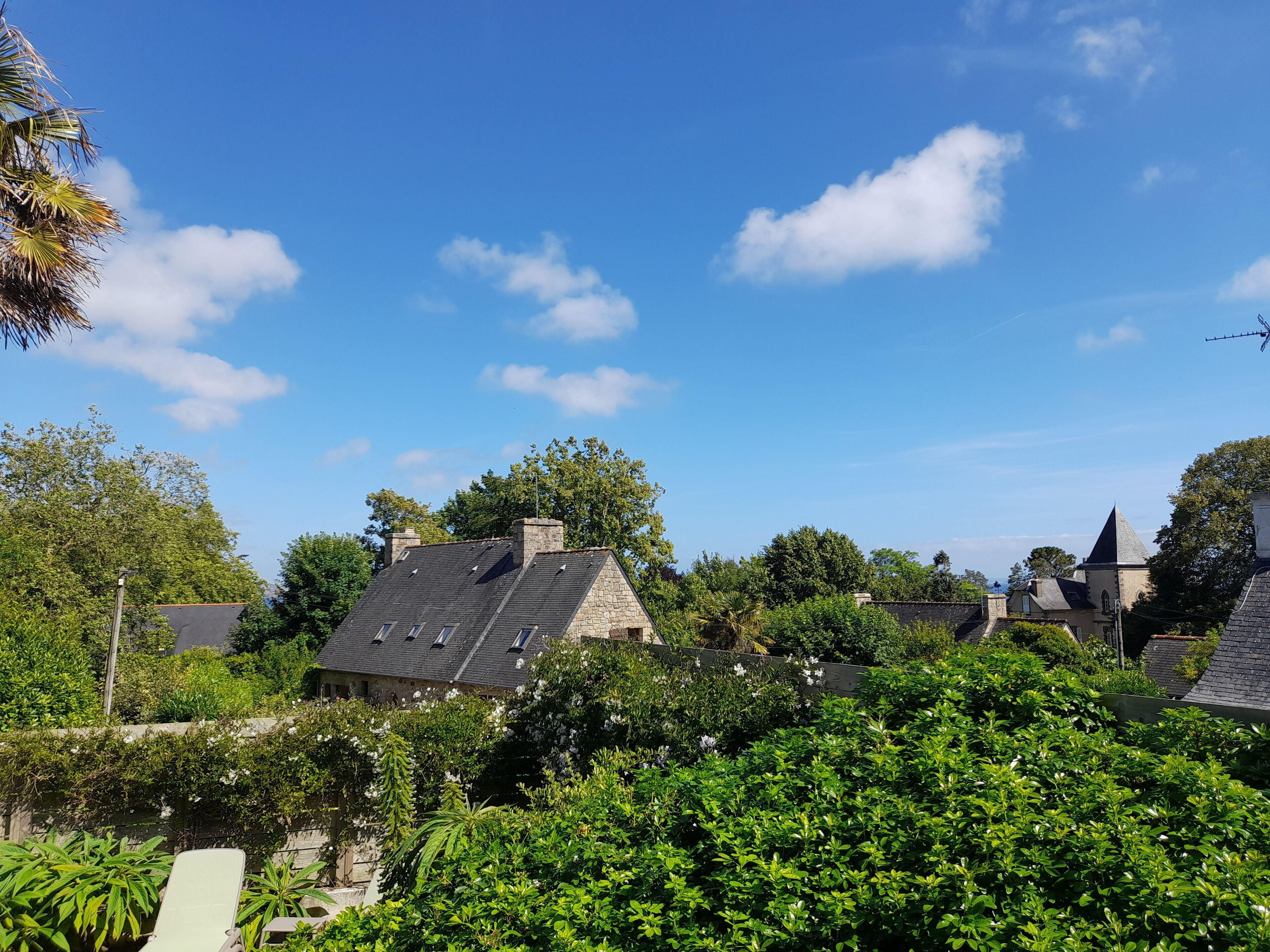A residential area with houses, lush greenery, and a clear blue sky.