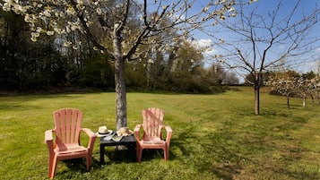 Terrein van de accommodatie