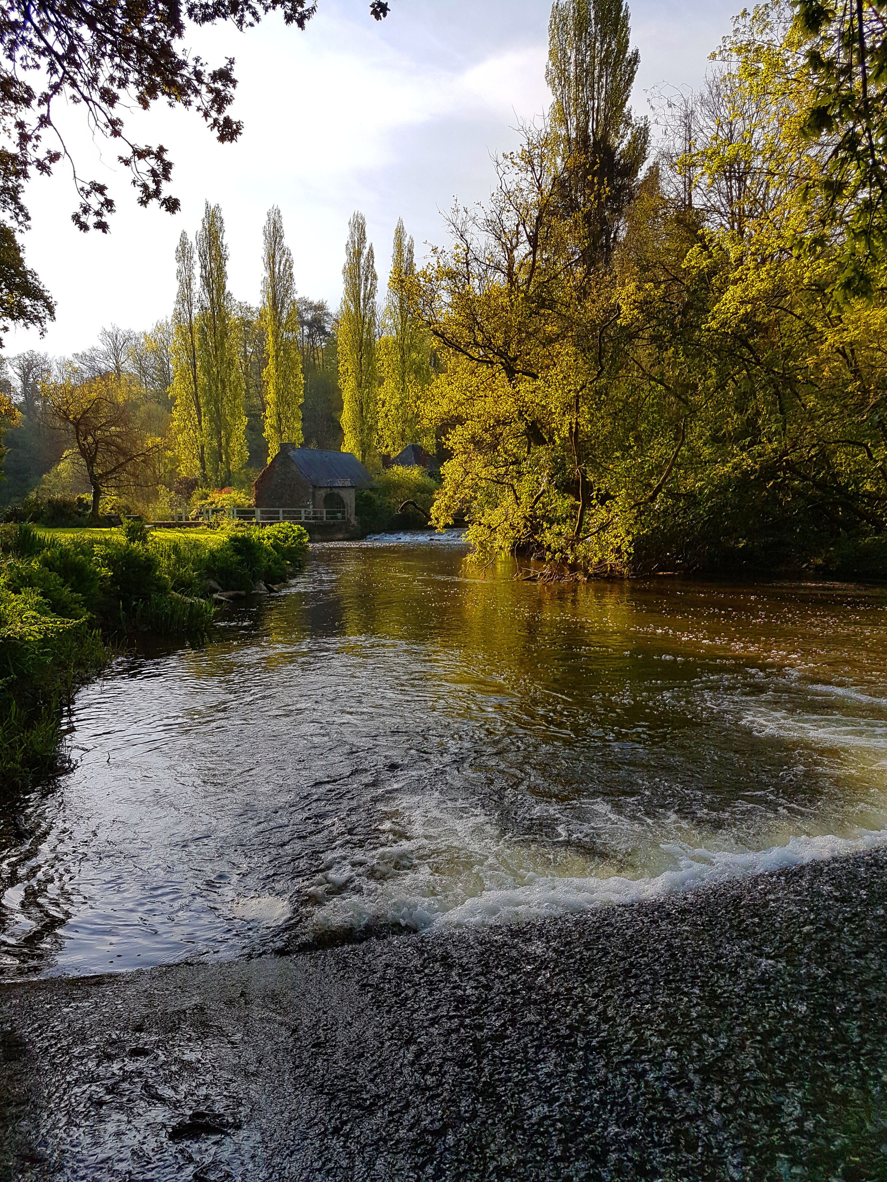 A river flowing through a park with trees and a small building in the background.
