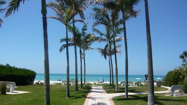 A pathway lined with palm trees leading to a beach. - SUPERB LAKESIDE VILLA WITH PRIVATE HEATED POOL - NAPLES (Naples)