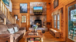 تلفزيون، مدفأة، مشغل دي في دي، مكتبة فيديو