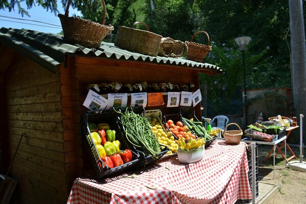 Outdoor dining - Cosy apartment for 5 guests with hot tub, WIFI, TV and pets allowed (Reggello)