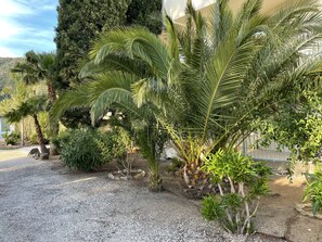 Property grounds - 150 M FROM ST CLAIR BEACH, APARTMENT WITH TERRACE AND PARKING SPACE  (Le Lavandou)