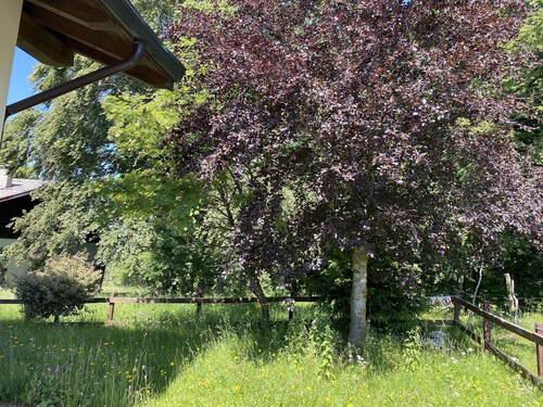 Mountain villa Chalet in San Valentino sul Monte Baldo in Trentino.