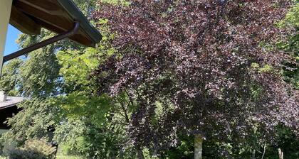 Mountain villa Chalet in San Valentino sul Monte Baldo in Trentino.
