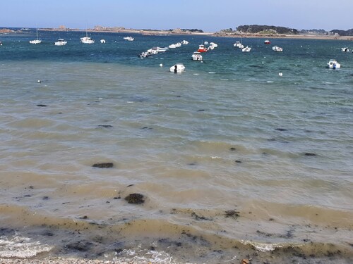 2-bedroom house, near (15mns) côtes de Granit Rose, des Ajoncs and du Goëlo. 