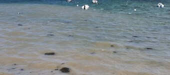 2-bedroom house, near (15mns) côtes de Granit Rose, des Ajoncs and du Goëlo. 