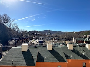 A residential area with multiple houses, some with green roofs, and a clear sky.