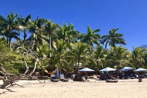 Una playa con palmeras, tumbonas y sombrillas.