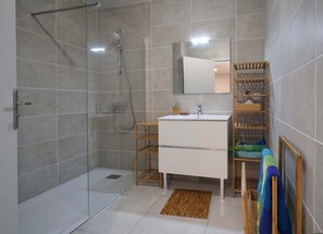 Shower, hair dryer, toilet paper