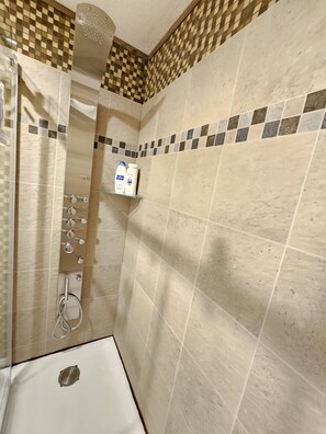 Combined shower/bathtub, eco-friendly toiletries, hair dryer, towels
