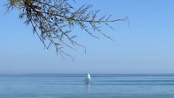 Una spiaggia nelle vicinanze