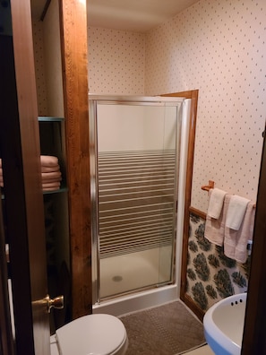 Shower, toilet paper