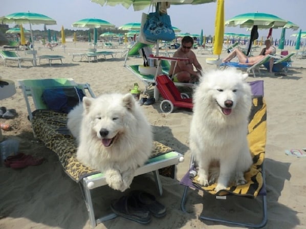 Beach nearby, beach towels