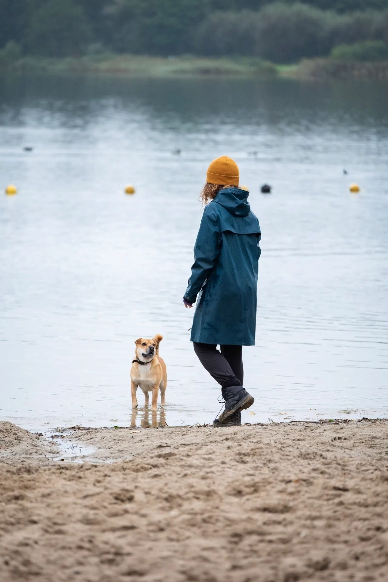 Eine Person in einem blauen Regenmantel und einer gelben Mütze spaziert mit einem Hund über einen sandigen Strand, im Hintergrund ist Wasser zu sehen.