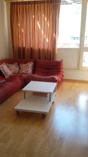 Tv, dvd-afspiller, bordtennisbord, bøger