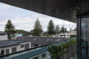 施設の敷地