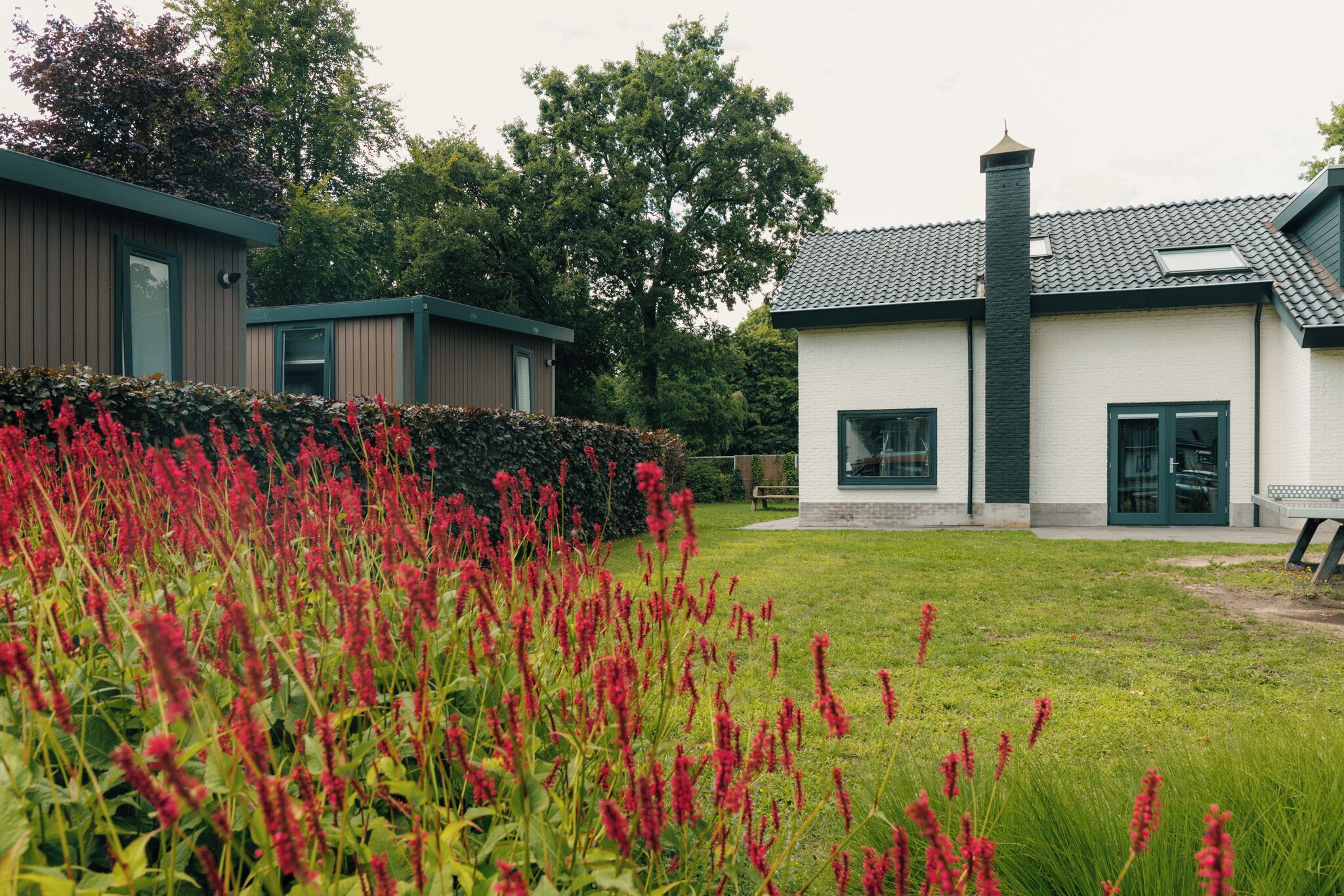 A modern building with a white exterior and dark roof tiles, surrounded by a well-maintained lawn and red flowering plants.