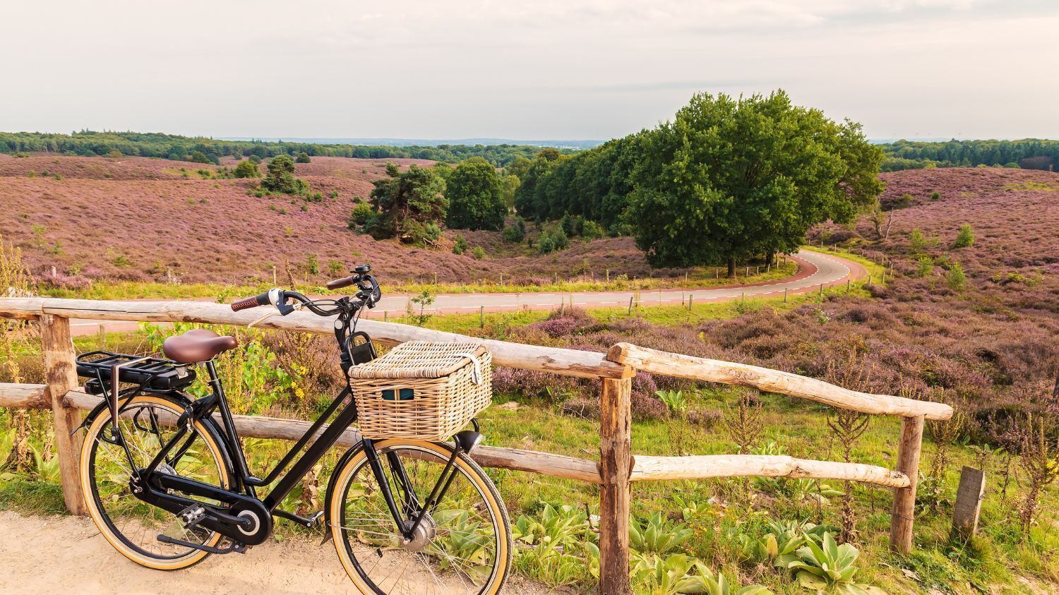 A bicycle parked by a wooden fence overlooking a rural landscape with a winding road and a large tree.