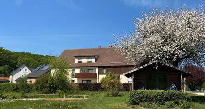 Ferienwohnung Reiperts - Ferienwohnung Wölfel