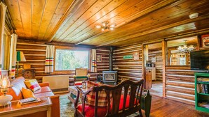 Een gezellig interieur van een blokhut, met houten plafond, open haard, televisie en een boekenplank.