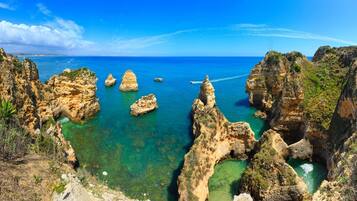 Appartamento (1 Bedroom) | Piantina