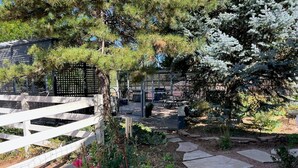 A garden with a stone pathway, a white fence, and various plants.