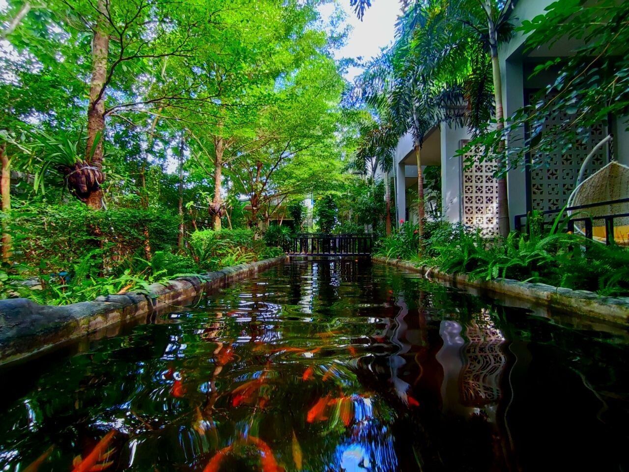 Photo - Raing Phnom Bungalow