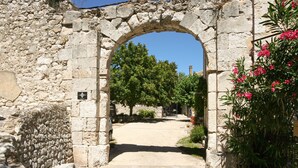 Un arc en pierre antique qui mène à une cour intérieure, avec un chemin pavé, le tout entouré de verdure et de plantes en fleurs.