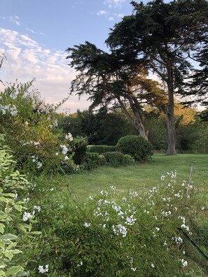 Terrain de l’hébergement 