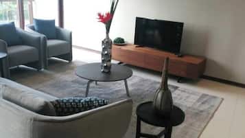 Fernseher